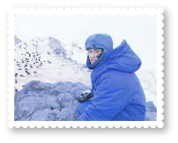 2536-royal-activity-antarctica-cape-royds-photograph-flock-penguins