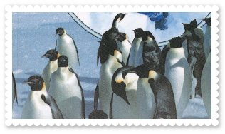 2536-royal-activity-antarctica-emperor-penguins