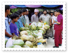 2540-narathiwat-muslim-coconut