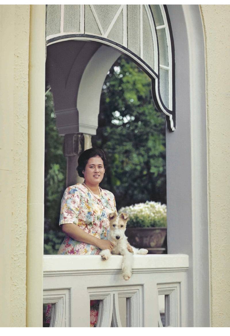 2543-hrh-sirindhorn-portrait